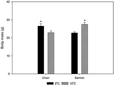 Different Relationship between hsp70 mRNA and hsp70 Levels in the Heat Shock Response of Two Salmonids with Dissimilar Temperature Preference